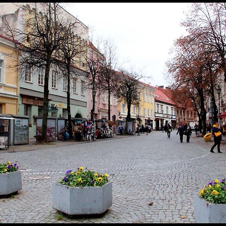 Pogo Hostel Vilnius Bagian luar foto